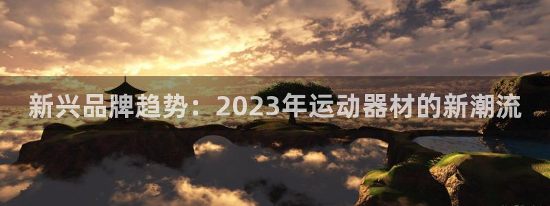 emc易倍体育官网下载平台注册流程视频:新兴品牌趋势:202