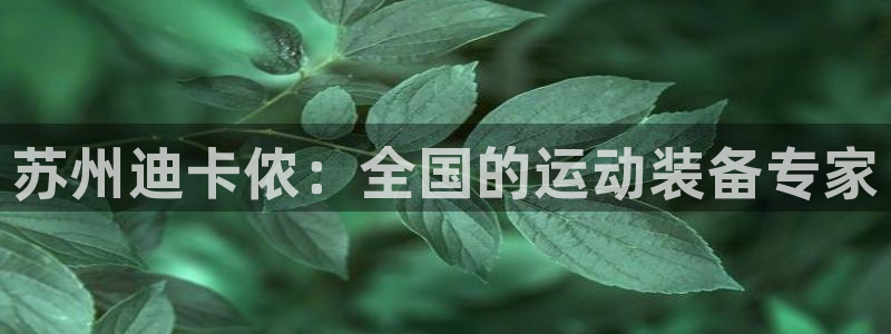emc易倍体育官网下载开户:苏州迪卡侬:全国的运动装备专家